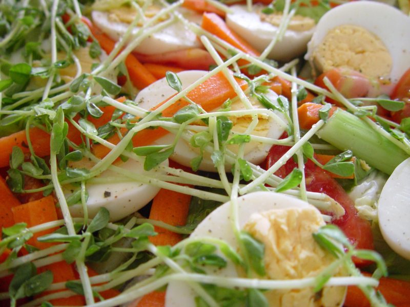Ensaladas Frescas
